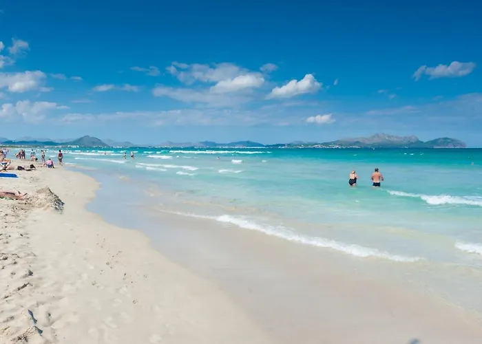 Boeres * 캔 피카폴트